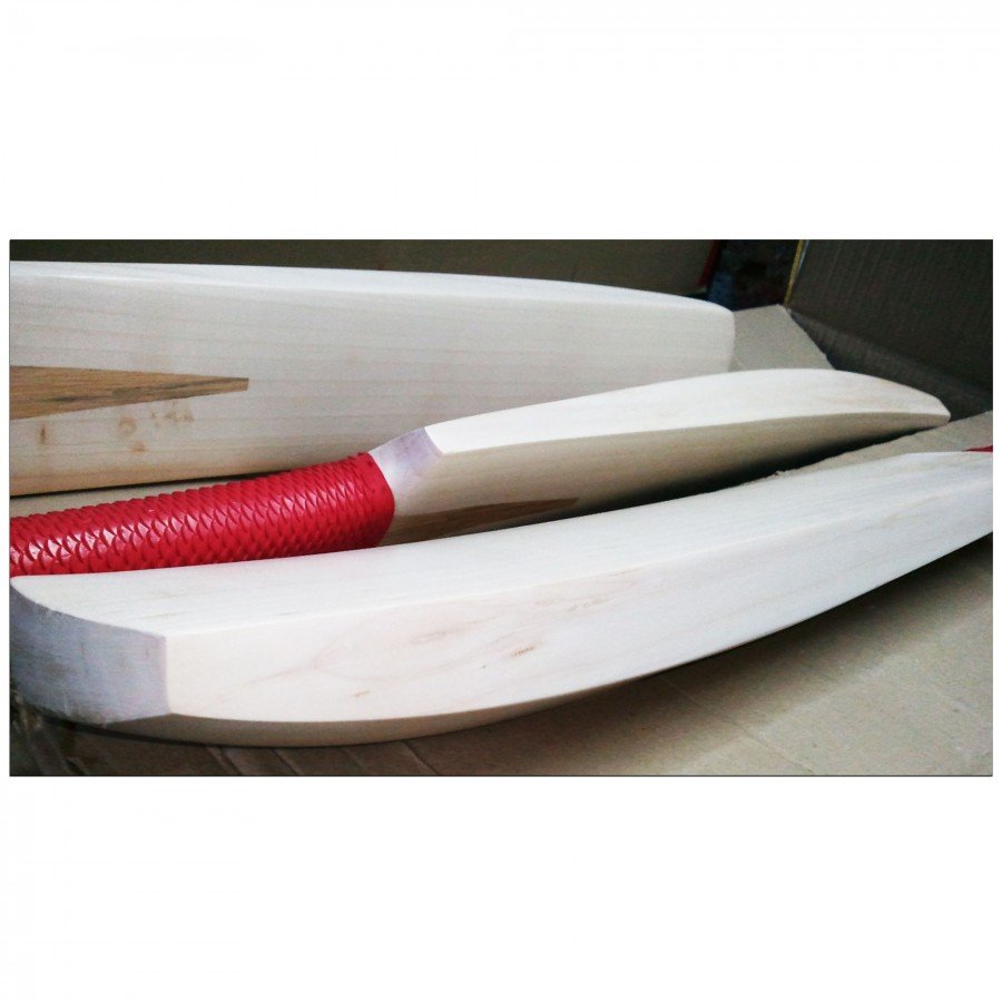 Cricket Bat
