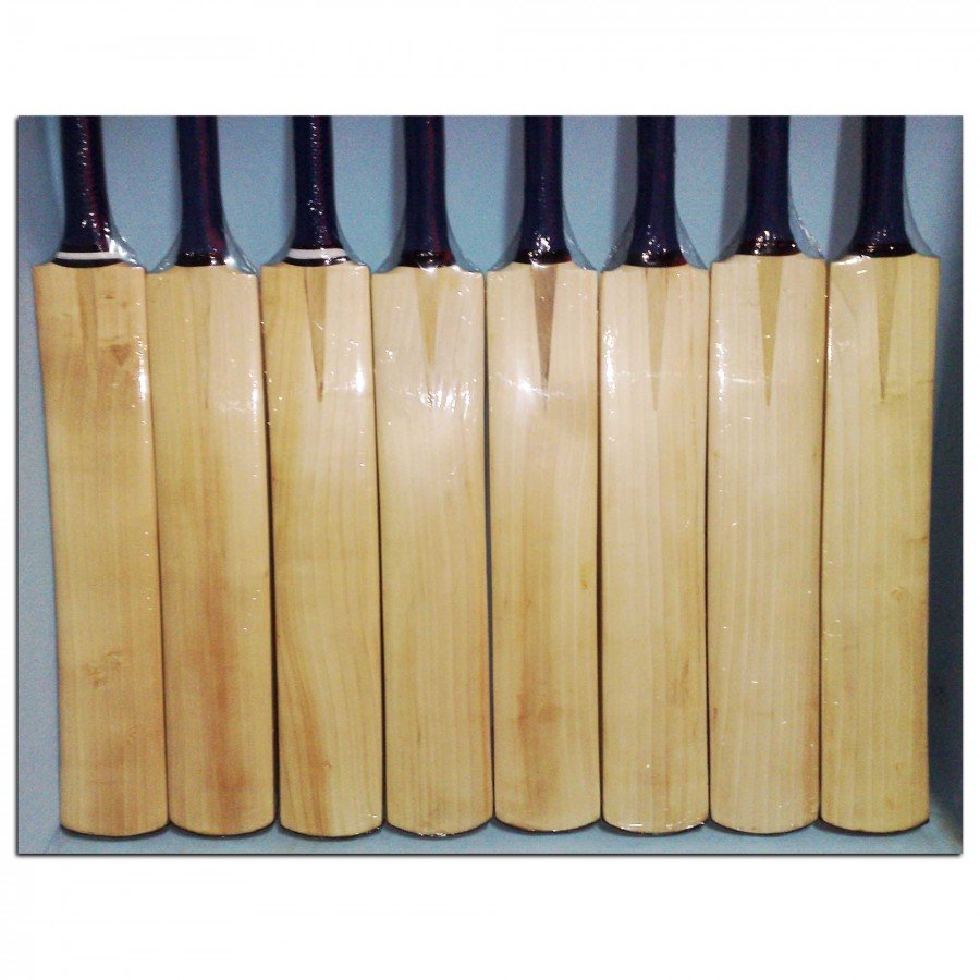 Cricket Bat
