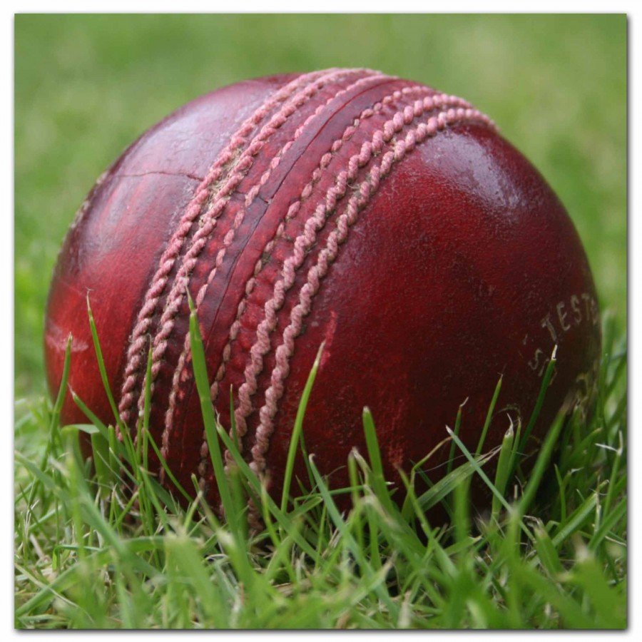 Cricket balls